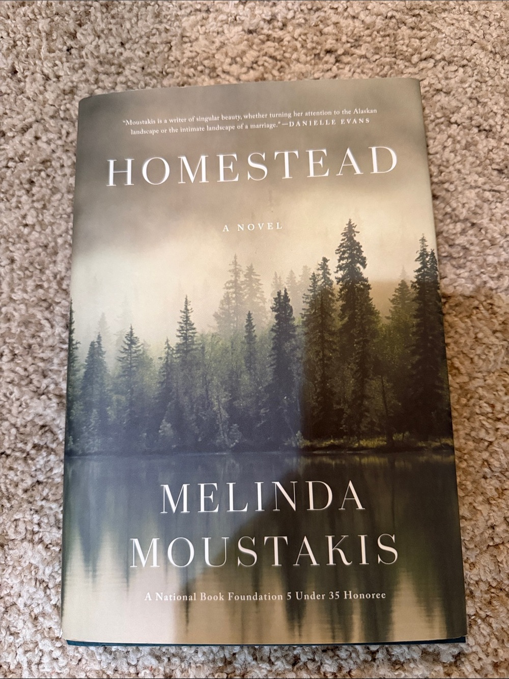 Homestead by Melinda Moustakis book